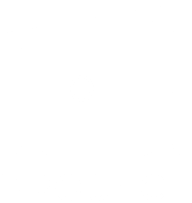 1 of 1 Project Logo